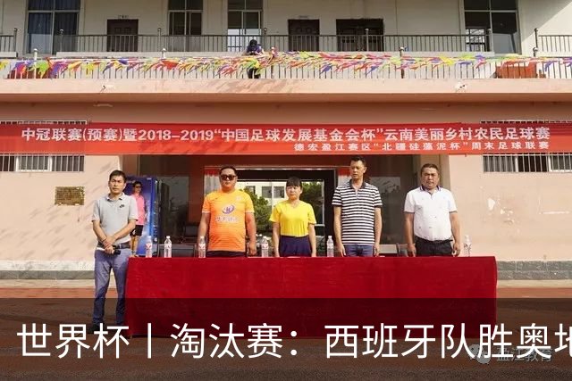 世界杯丨淘汰赛：西班牙队胜奥地利队